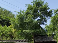 -重庆园博园