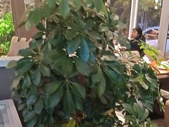 -纪林菜馆·博山菜老字号(华光路店)