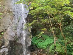 -本溪汤沟绿石谷森林公园