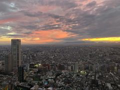 -东京都厅舍