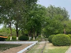 -永定河休闲森林公园