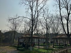 -南湖湿地公园