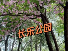 -西安市长乐公园