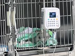 -仁仁嘉嘉宠物医院·骨外科中心·髋关节置换(北仑分院)