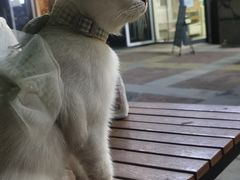 -沐沐家宠物(成寿寺店)