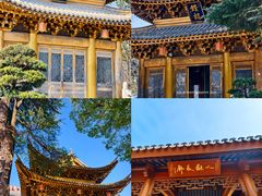 -上海东林寺(金山区)