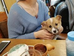 -喵汪宠物生活馆(涞坊路店)