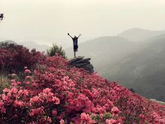-木兰云雾山