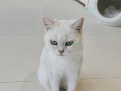 -怪兽屋·羊驼·猫咖·狗咖(俊华广场店)