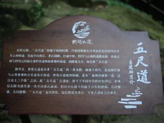 -南山植物园