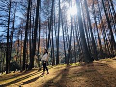 -硗碛藏寨·神木垒景区