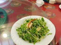 鲜桃仁豌豆苗-玉华台饭庄(裕中西里小区店)