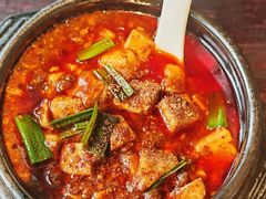 -陈麻婆豆腐总店