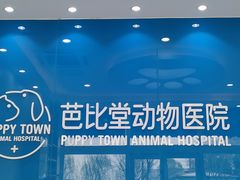 -芭比堂动物医院·CT·微创中心(新顺分院)