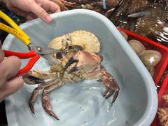 -船奇蒸汽海鲜·闽菜(八市海鲜总店)