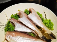 -杨家火锅(国美店)