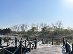 -溱湖国家湿地公园