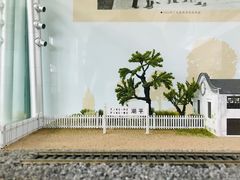 -平湖站