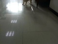 -联合动物医院(光谷诊疗中心)