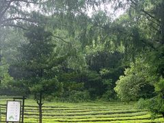 -敬亭山风景名胜区