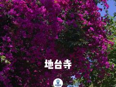 -云南师范大学(一二一西南联大校区)