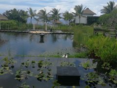-Samabe Cave Dining