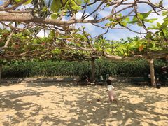 -三亚亚龙湾天域度假酒店