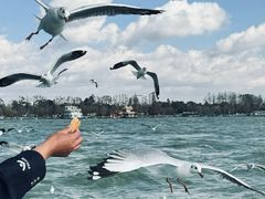 -海埂大坝