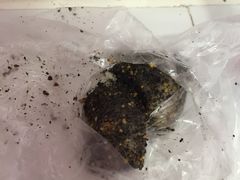 -叶氏麻糍(鼓浪屿店)