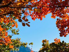 -周口店坡峰岭风景区