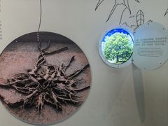 -金沙遗址博物馆