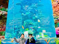 -青岛嘉年华主题乐园