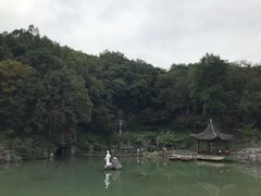 -陶祖圣境风景区
