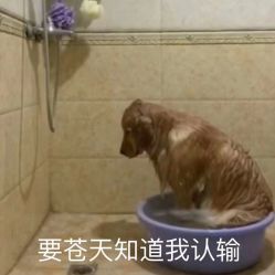 点击看大图 -东燃造型 DR·Hair Salon