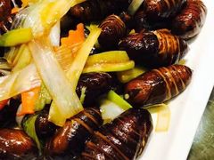 -东北大院·东北菜(三台子店)