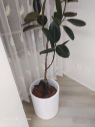 -HEYAN荷妍专业脱毛连锁机构