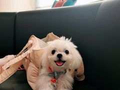 -金厨泰国餐厅·全泰籍厨师料理(拱北店)