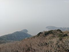 -普陀山风景名胜区-法雨禅寺