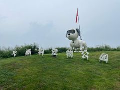 -秦皇岛阿尔卡迪亚滨海度假酒店