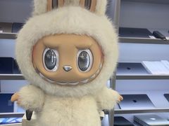 -苹果手机电脑·Mac维修服务(普陀店)