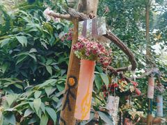 -呀路古热带植物园