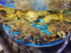 -蟹之国·精品蟹料理(极地店)