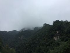 -秦岭风景区