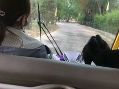 -泰安地下龙宫景区