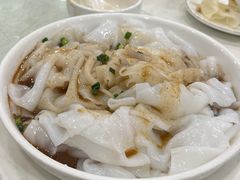 -姚林轩