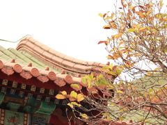 -珠海圆明新园