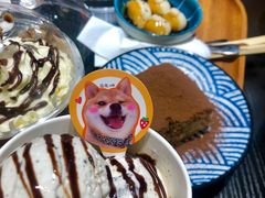 -逗柴咖啡屋·狗咖猫咖宠物桌游