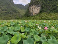 -靖西鹅泉风景区