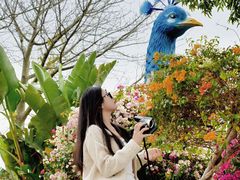 -东莞植物园