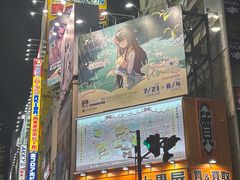 -秋叶原电器街